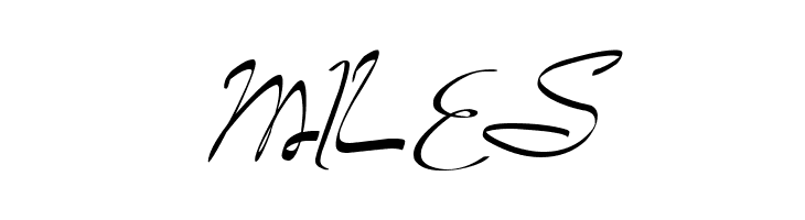 Camella Beauty Script  Free Fonts Download