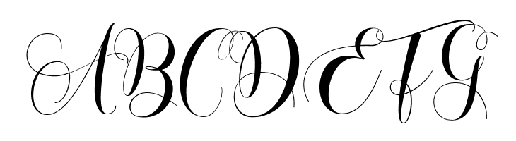 Amoselia Regular  Free Fonts Download