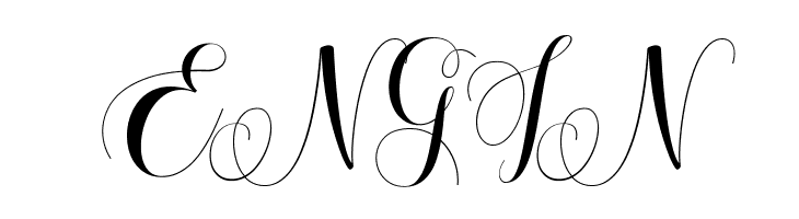 Amoselia Regular  Free Fonts Download