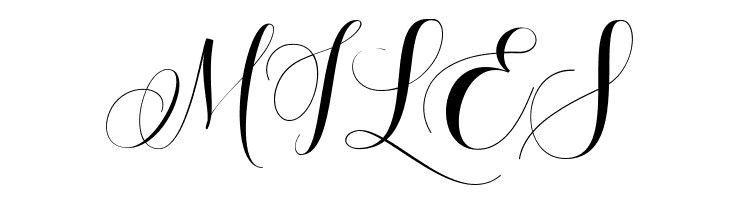 Amoselia Regular  Free Fonts Download