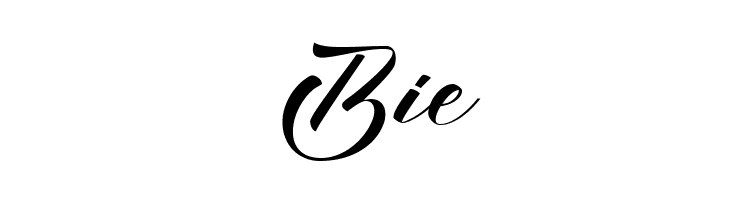 Night City Regular  Free Fonts Download