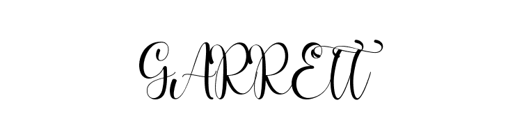 Bigola  Free Fonts Download