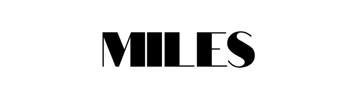 Bold-ish Demo Font  Free Fonts Download