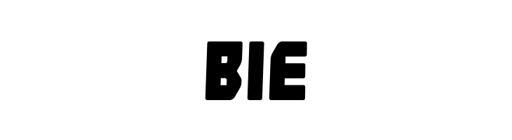 Solid Soldier  Free Fonts Download