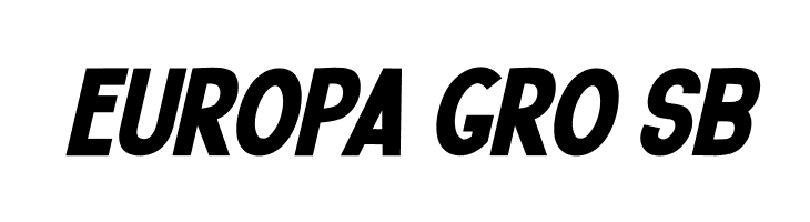 Roberto Bold Itallic  Free Fonts Download