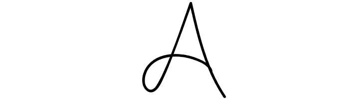 Muiden Castle Script  Free Fonts Download