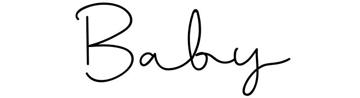 Muiden Castle Script  Free Fonts Download