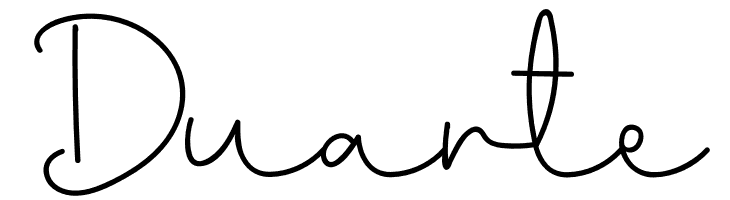 Muiden Castle Script  Free Fonts Download