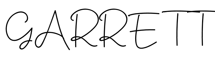 Muiden Castle Script  Free Fonts Download