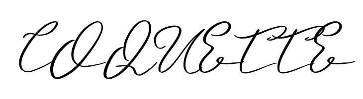 Hassey  Free Fonts Download