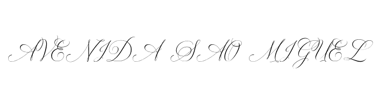 SolidarithaScript-Regular  Free Fonts Download