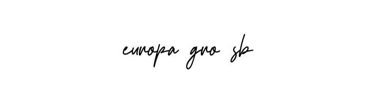 Boostard Signature  Free Fonts Download