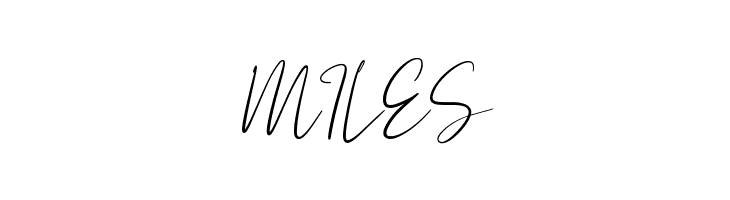 Astagina Signature  Free Fonts Download