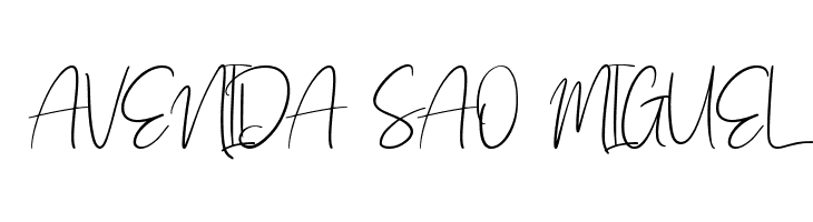 Holistic Signature  Free Fonts Download