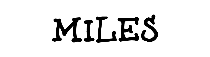 brunoBook  Free Fonts Download