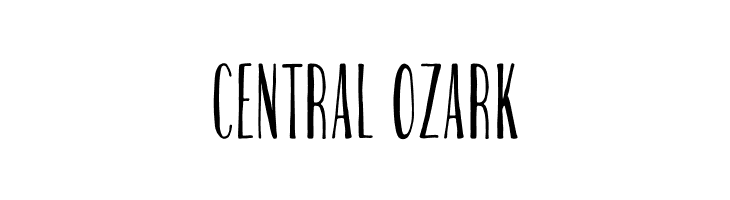 Stem Panini  Free Fonts Download