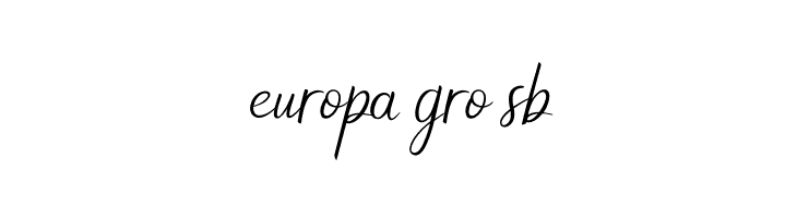 New Florence  Free Fonts Download