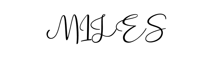 Alleysha  Free Fonts Download