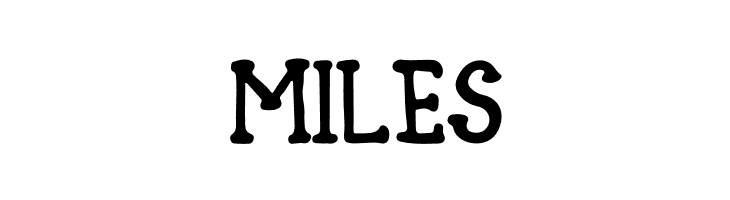 Blank Type Nol  Free Fonts Download