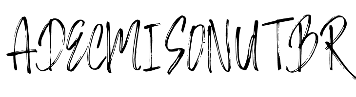 BERASH  Free Fonts Download