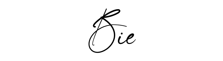 Sallina  Free Fonts Download