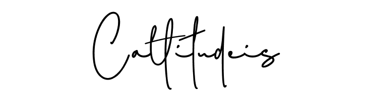 Amsterday  Free Fonts Download