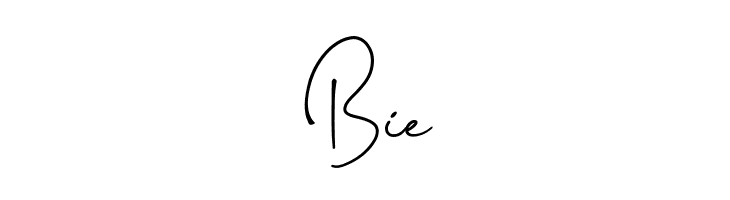 Photography Signature  Free Fonts Download