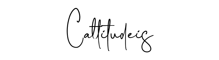 Photography Signature  Free Fonts Download