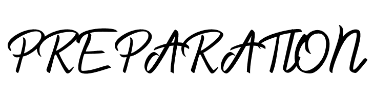 Dacilla Script Demo  Free Fonts Download