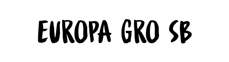 Spinwash DEMO Regular  Free Fonts Download