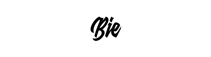 Raydric  Free Fonts Download