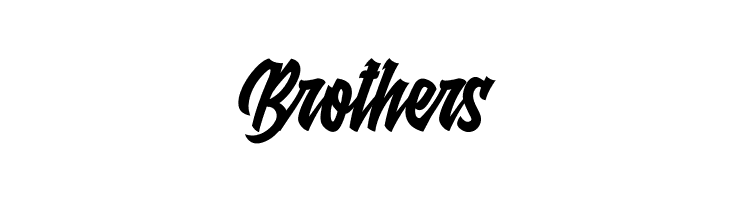 Raydric  Free Fonts Download