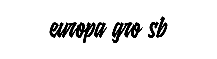 Raydric  Free Fonts Download