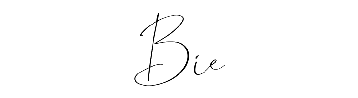 Kastangel  Free Fonts Download