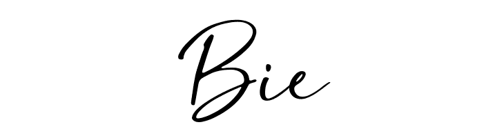 Southnis  Free Fonts Download