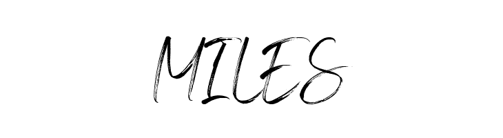 Blingstone  Free Fonts Download