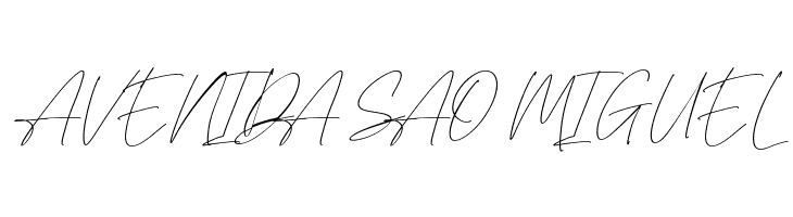 British Shorthair  Free Fonts Download