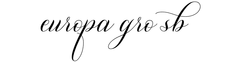 Shutterday  Free Fonts Download