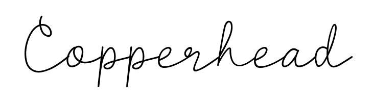 Clarisa Script  Free Fonts Download