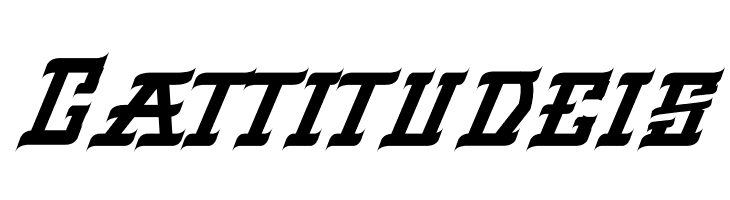 VIRGIL BLACK Italic  Free Fonts Download