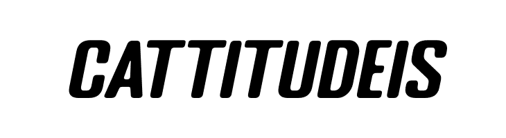 PASTI-Oblique  Free Fonts Download