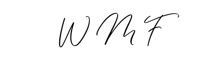 Maginted  Free Fonts Download