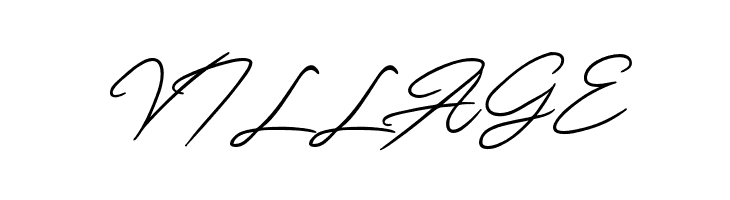 Monsttera  Free Fonts Download