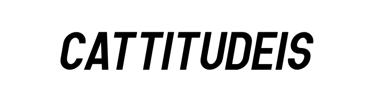 Human Bold Italic  Free Fonts Download