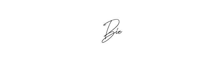 Fadeline Signature Regular  Free Fonts Download