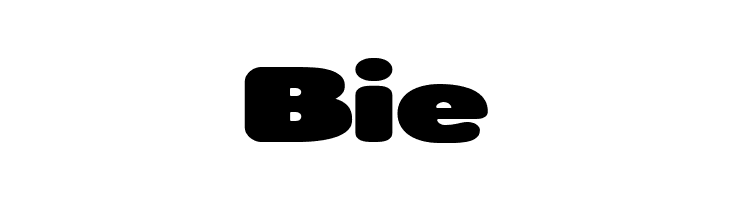 Roundigger Bold  Free Fonts Download