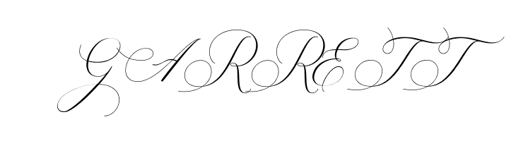 AureligenaScript  Free Fonts Download