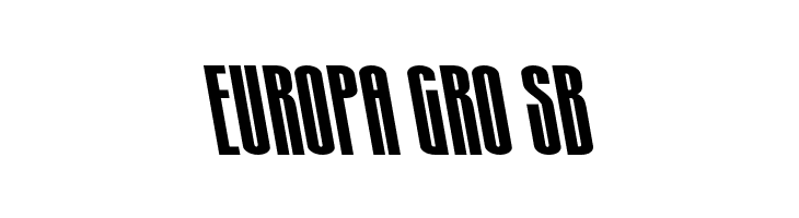 Turb0lence Spaced Leftalic  Free Fonts Download