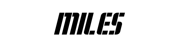 Fortune Soldier Italic  Free Fonts Download