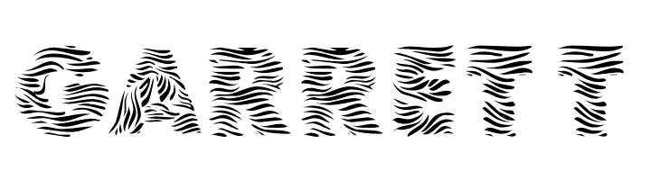 101! Zebra Print  Free Fonts Download